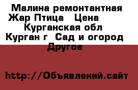 Малина ремонтантная Жар Птица › Цена ­ 50 - Курганская обл., Курган г. Сад и огород » Другое   